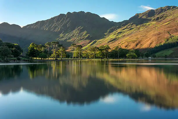 Row of Pine Trees reflecting in water at Buttermere in the English Lake District on an Autumn morning.