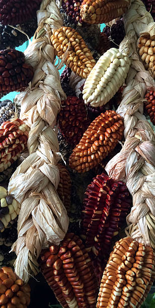 istock Peruvian Corn Peruvian Tasty Fruits and Vegetables 612723566