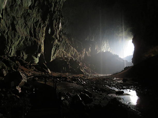 鹿の洞窟 - グヌンムル国立公園 ストックフォトと画像