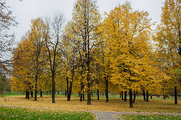 istock Fall in the city park 612724538