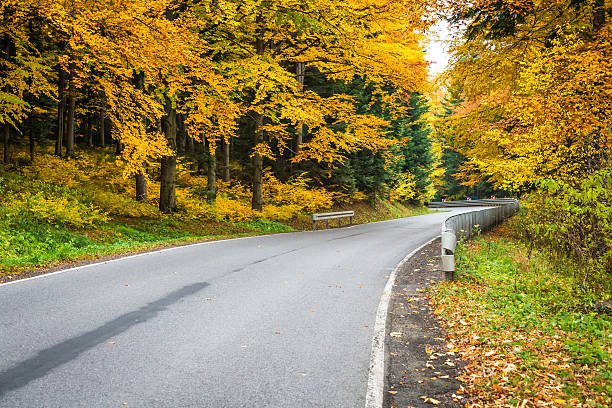 istock Autumn landscape with road and beautiful colored trees 612725114