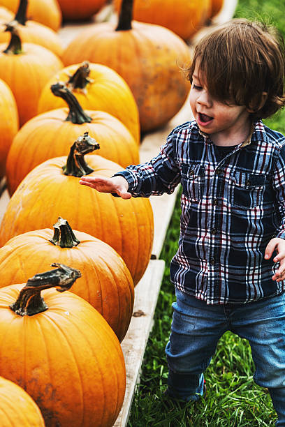 scegliere la sua zucca - market farmers market agricultural fair child foto e immagini stock