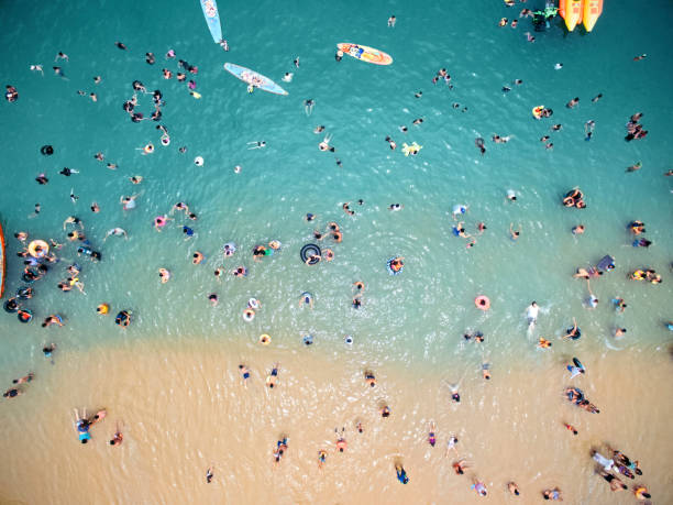 Aerial view of people at the beach Aerial view of people at the beach surfing photos stock pictures, royalty-free photos & images