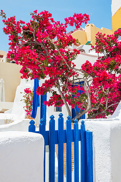 istock White-blue architecture on Santorini island, Greece 612728416