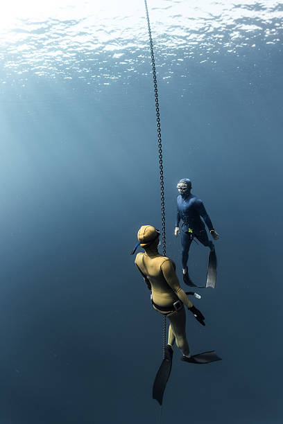 istock Two free divers swim under the water 612728644