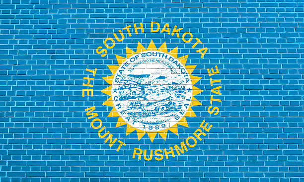 istock Flag of South Dakota brick wall texture background 612728962