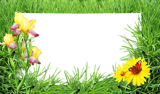 green spring leafs background card