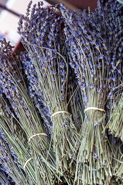 istock Bunches of lavender flowers 612731098