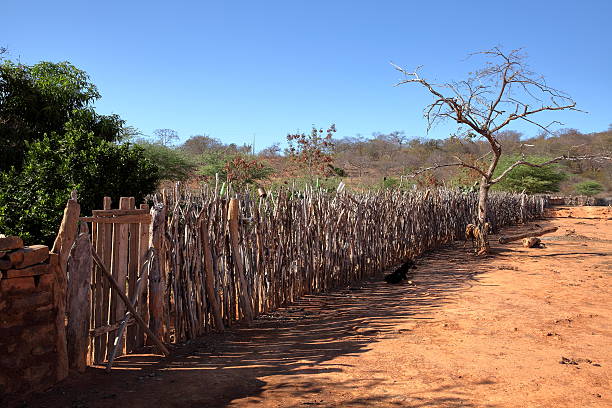 Plot and garden fence Plot and garden fence caatinga stock pictures, royalty-free photos & images