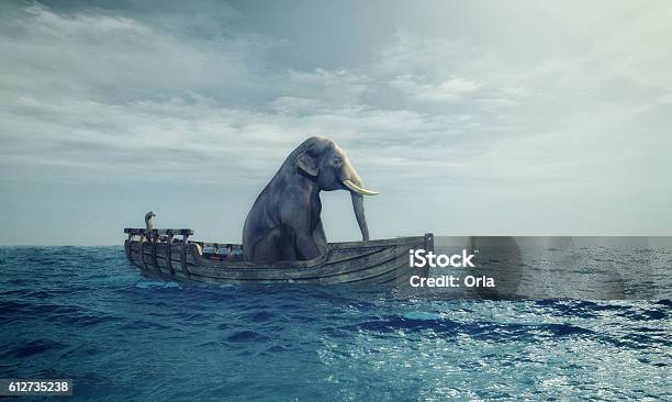 Elefant In Einem Boot Auf See Stockfoto und mehr Bilder von Elefant - Elefant, Kunst, Humor