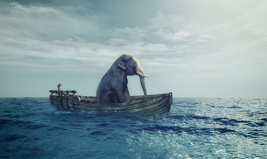 Elephant sitting in a boat by sea. This is a 3d render illustration