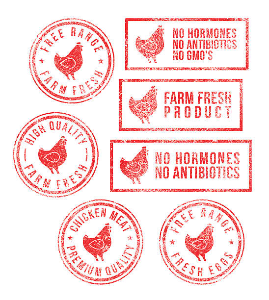 Farm Chicken Meat Eggs Rubber Stamps Rubber stamps with farm chicken meat and egg fresh healthy food products (free range, farm fresh, fresh eggs, high quality, chicken meat, no hormones, no antibiotics, no gmo). High resolution JPG, PDF, PNG (transparent background) and AI files available with this download. chicken meat illustrations stock illustrations