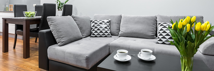 Panorama of modern design interior with big grey sofa and coffee table with two cups and yellow tulips in a vase