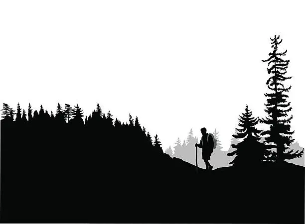 Vector illustration of Mountain Top Hiking
