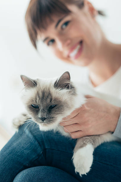 istock Woman caressing her birman cat 612741146