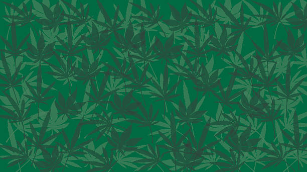 Marijuana Leaf Background Marijuana Leaf Background illustration. Check out my "Medical and Health Vector" light box for more. pitter stock illustrations