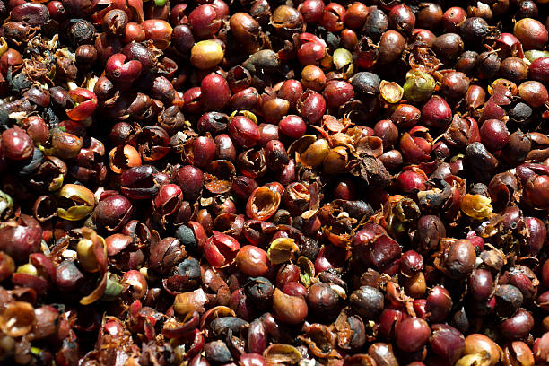 Coffee peels discarded.