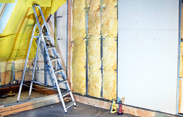 istock Installation  walls  with plasterboard and mineral wool 612746574