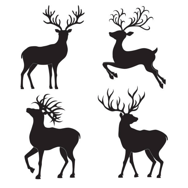 Set of Christmas deer silhouettes on the white background. Collection of Christmas deer silhouettes isolated on the white background. Vector illustration. silhouette of a elk antler tattoo stock illustrations
