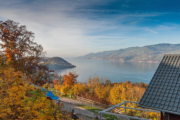 istock Lake Thun, Canton of Bern 612750996