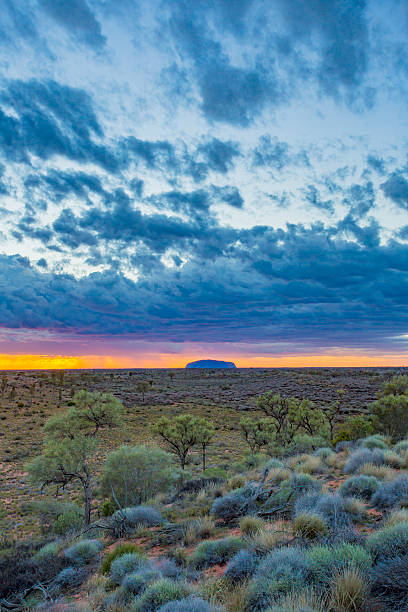 uluru sunrise dans le désert australien - uluru australia northern territory sunrise photos et images de collection