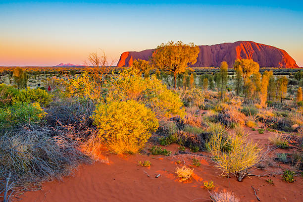 uluru lever du soleil - uluru australia northern territory sunrise photos et images de collection