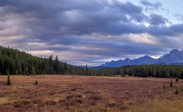 istock Kananaskis Country 612759266