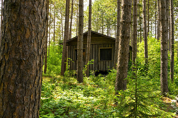 Log Cabin in woodland forest northern Minnesota.