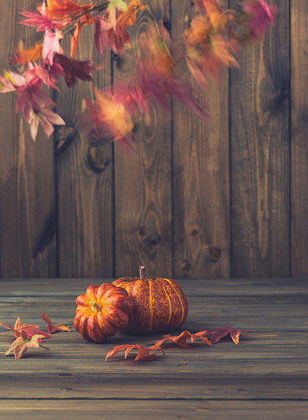 istock Fall backgrounds. Rustic still life with pumpkins, leaves and wood 612816262