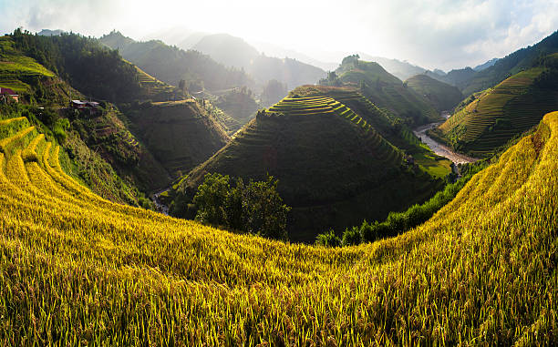 istock Rice fields on terraces in the sun at MuCangChai, Vietnam. 612816468