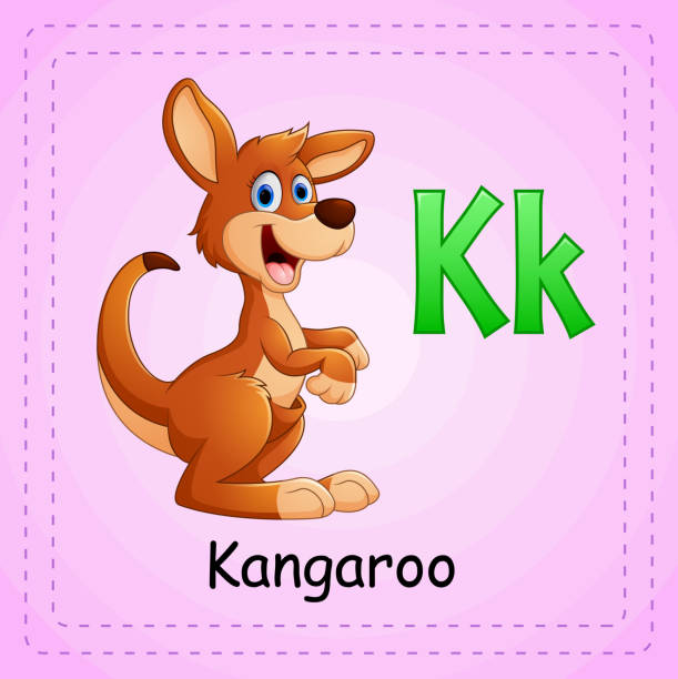Animals Alphabet K Is For Kangaroo Stock Illustration - Download