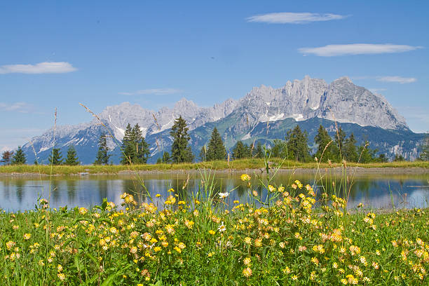 view to wilder kaiser mountains - ackerlspitze imagens e fotografias de stock
