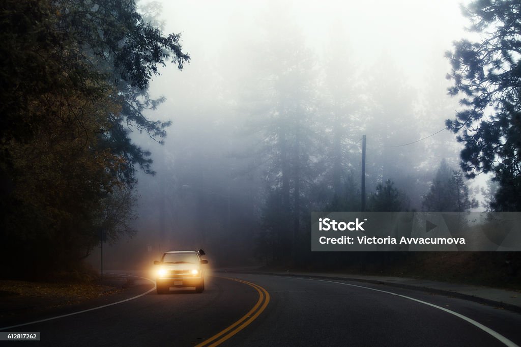 October fog in Washington. Dog looking out of moving car October fog in the Pacific Northwest. Dog protruding head out a moving car window. Car Stock Photo