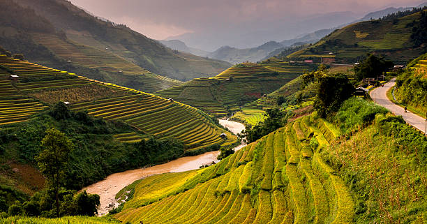 istock Rice fields on terraces in the sun at MuCangChai, Vietnam. 612817970