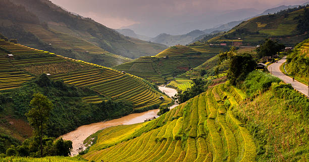 istock Rice fields on terraces in the sun at MuCangChai, Vietnam. 612818000
