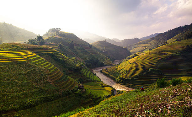 istock Rice fields on terraces in the sun at MuCangChai, Vietnam. 612818462
