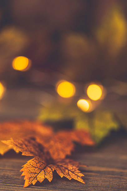 istock Fall backgrounds. Rustic still life with leaves and bokeh 612819718
