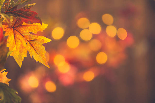 Fall backgrounds. Rustic still life with leaves and bokeh