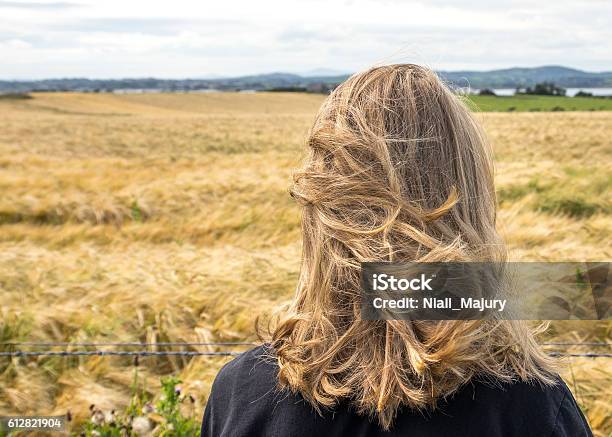 Back Of Teenagers Head Looking Over Strawcolored Field Stock Photo - Download Image Now