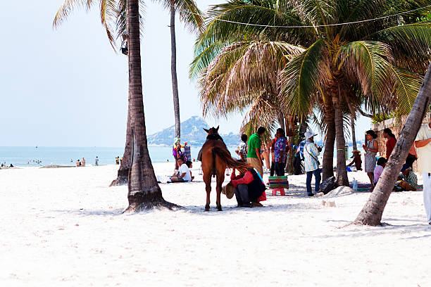 Hua Hin, Thailand - April 24, 2015: Capture thai people with horses between palms on beach in Hua Hin. People are keeping to stay in shadow. They are staff for tourists.