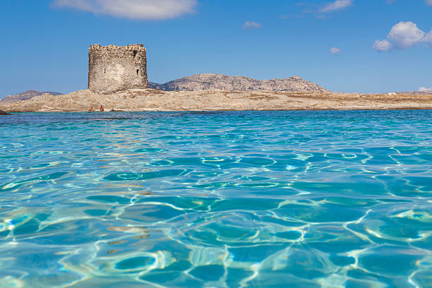 Turquoise waters at Stintino La Pelosa beach in Sardinia clear water and La Pelosa Tower in the province of Sassari, Italy sardinia stock pictures, royalty-free photos & images