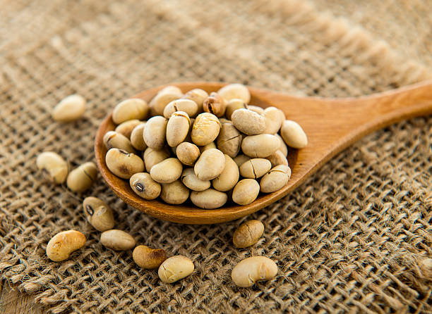 istock Soy beans in wood spoon 612828394