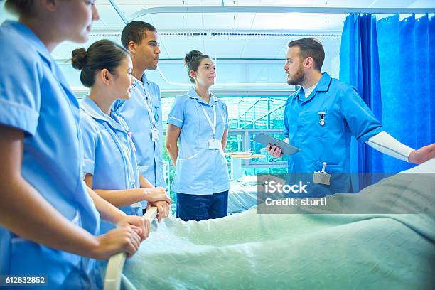 Ausbildung Von Krankenschwestern Stockfoto und mehr Bilder von Krankenpflegepersonal - Krankenpflegepersonal, Gesundheitswesen und Medizin, Kurs