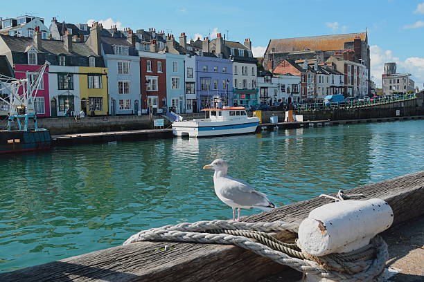 Weymouth Harbour Custom House Quay at Weymouth Harbour. dorset england photos stock pictures, royalty-free photos & images
