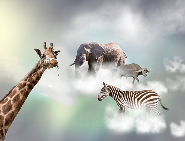 istock The giraffe, elephant, zebra above white clouds in gray sky 612834150