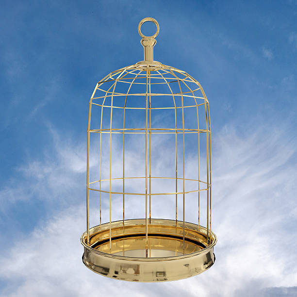 istock 3D rendering of  a golden bird cage on sky 612834968
