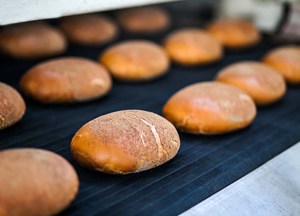 istock Baked Breads on the production line at the bakery 612836516