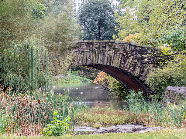 istock Gapstow bridge Central Park, New York City 612838672