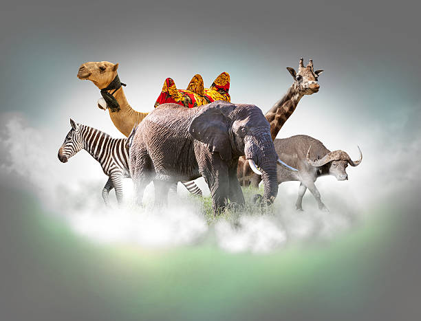 istock Wild animals group - giraffe, elephant, zebra above white clouds 612839548