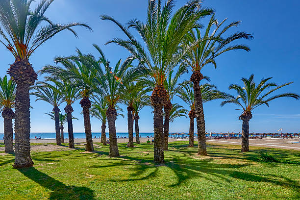 View of the beaches, Torremolinos, Costa Del Sol, Spain View of the beaches, Torremolinos, Costa Del Sol,  torremolinos beach stock pictures, royalty-free photos & images